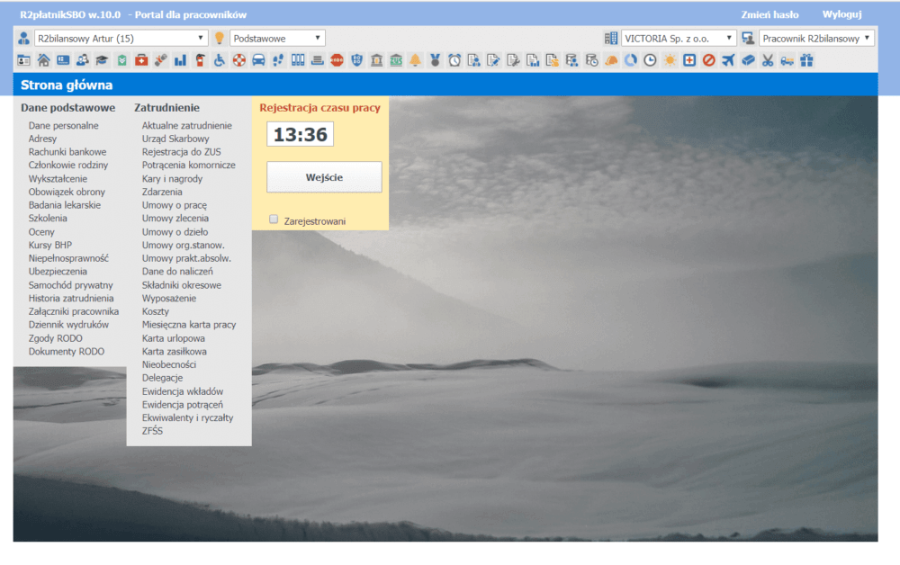 R2Płatnik -Podgląd