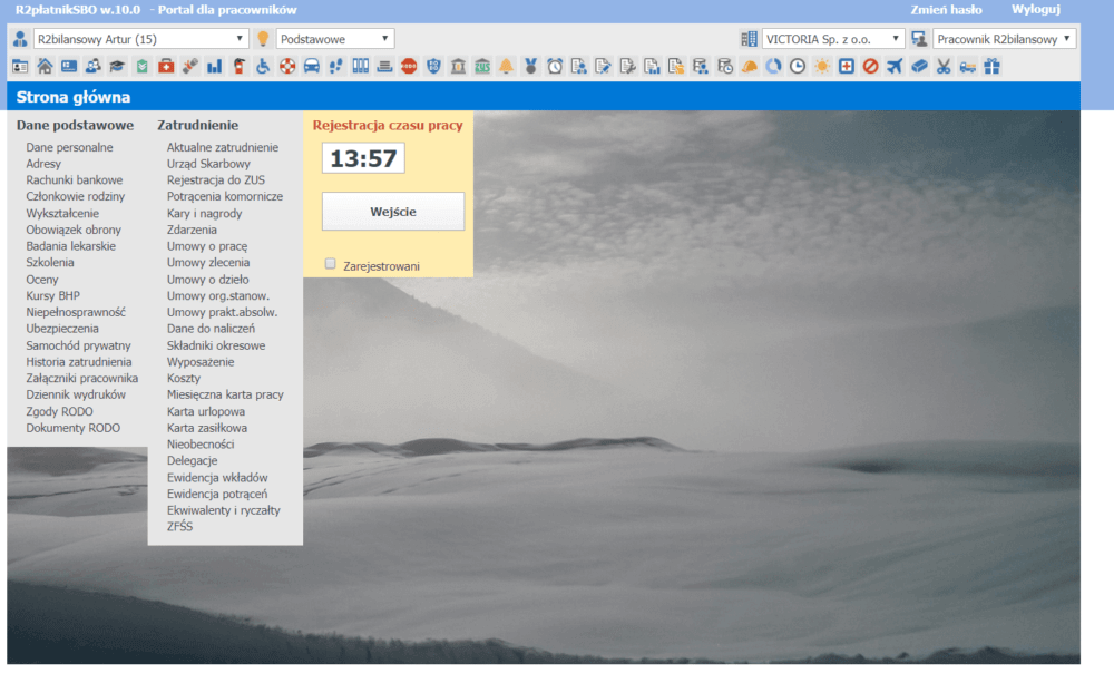 R2Płatnik -Podgląd