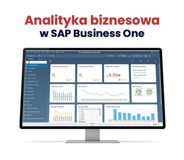 Analityka biznesowa w systemie ERP SAP Business One