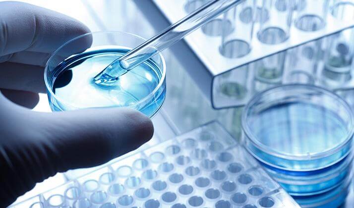 Organizacje biotechnologiczne